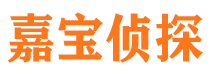 满城嘉宝私家侦探公司